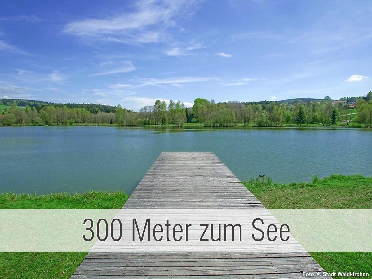 Huette41: Ganze Huette Nah Am See Mit Privatem Whirlpool, Sauna. Umzaeunt. Waldkirchen Exterior foto