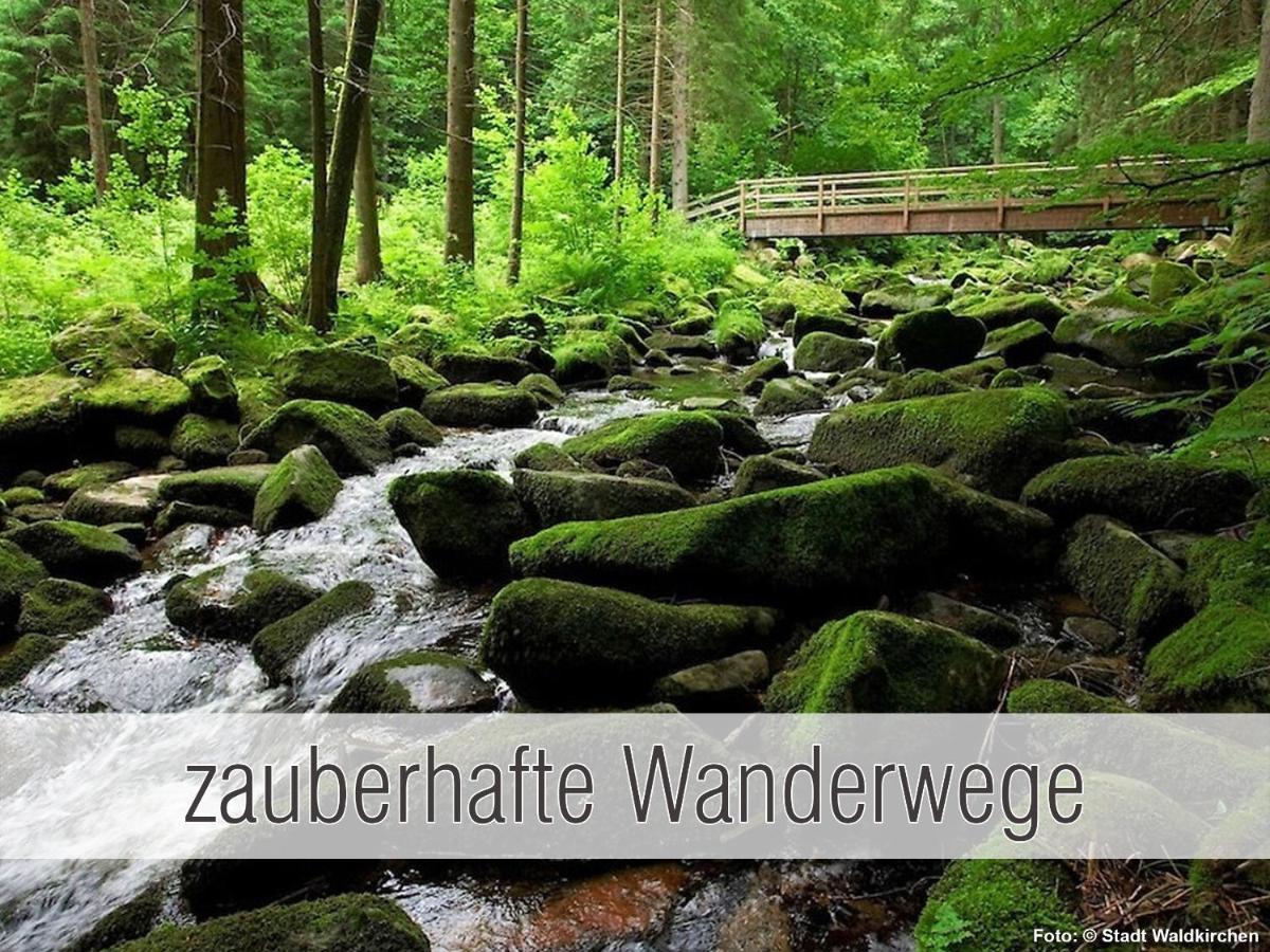 Huette41: Ganze Huette Nah Am See Mit Privatem Whirlpool, Sauna. Umzaeunt. Waldkirchen Exterior foto