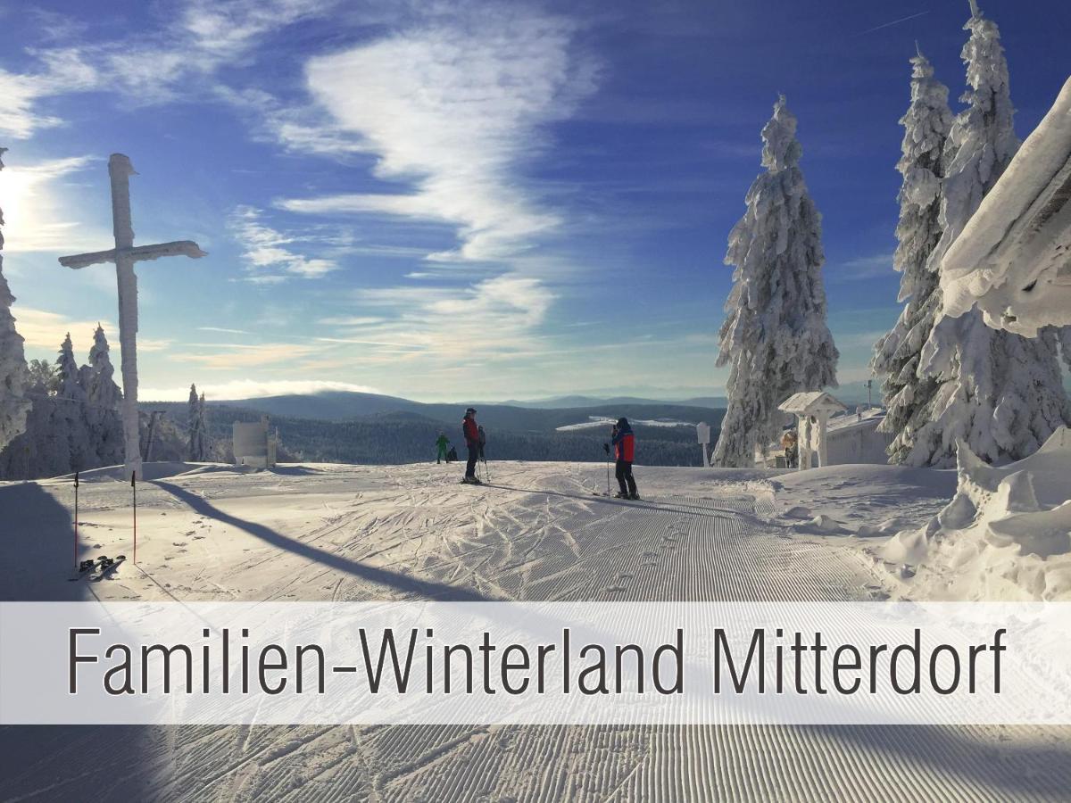 Huette41: Ganze Huette Nah Am See Mit Privatem Whirlpool, Sauna. Umzaeunt. Waldkirchen Exterior foto