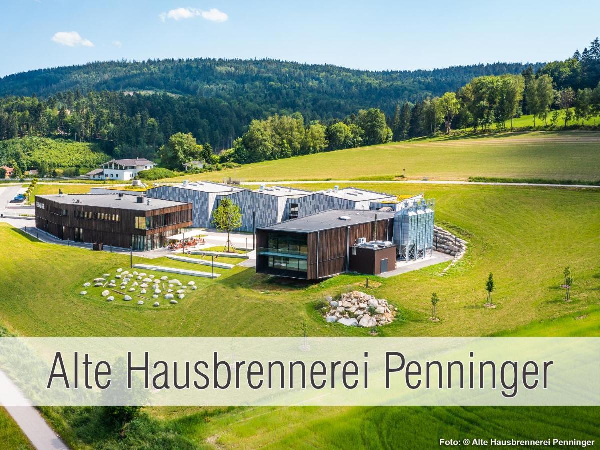 Huette41: Ganze Huette Nah Am See Mit Privatem Whirlpool, Sauna. Umzaeunt. Waldkirchen Exterior foto